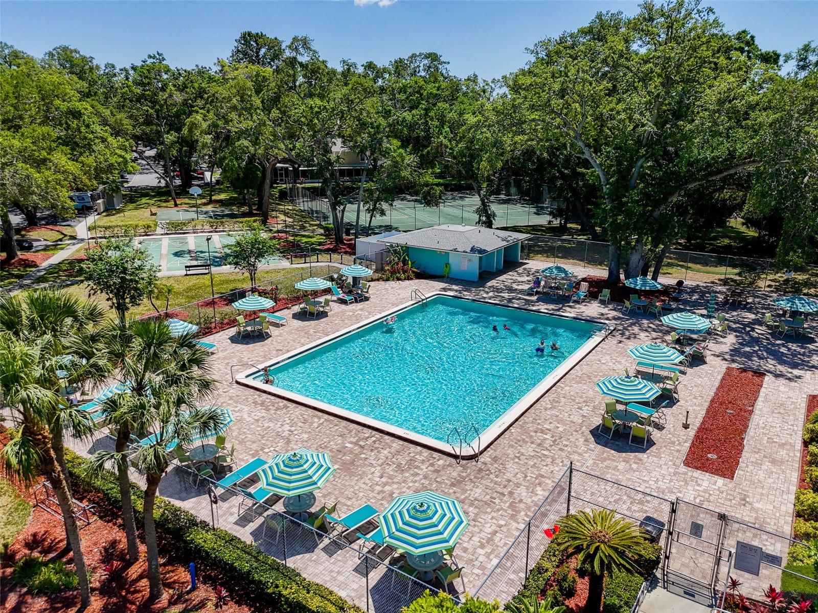 3078 POINTER DR, PALM HARBOR, FL, 34683