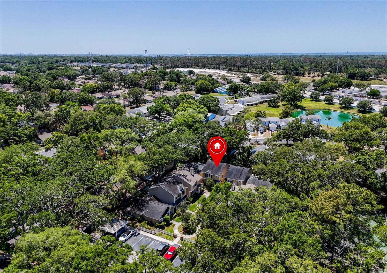 3078 POINTER DR, PALM HARBOR, FL, 34683
