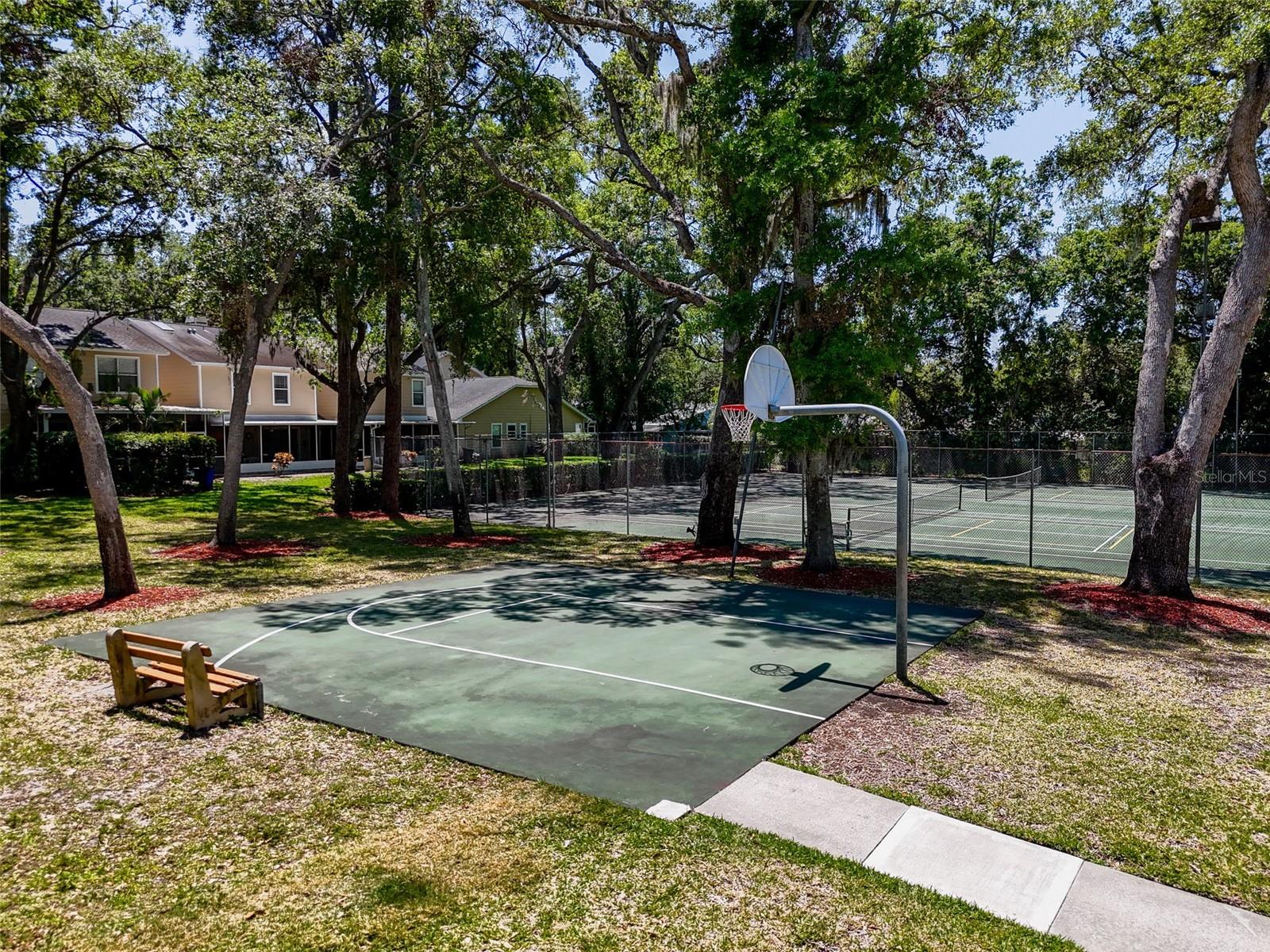 3078 POINTER DR, PALM HARBOR, FL, 34683