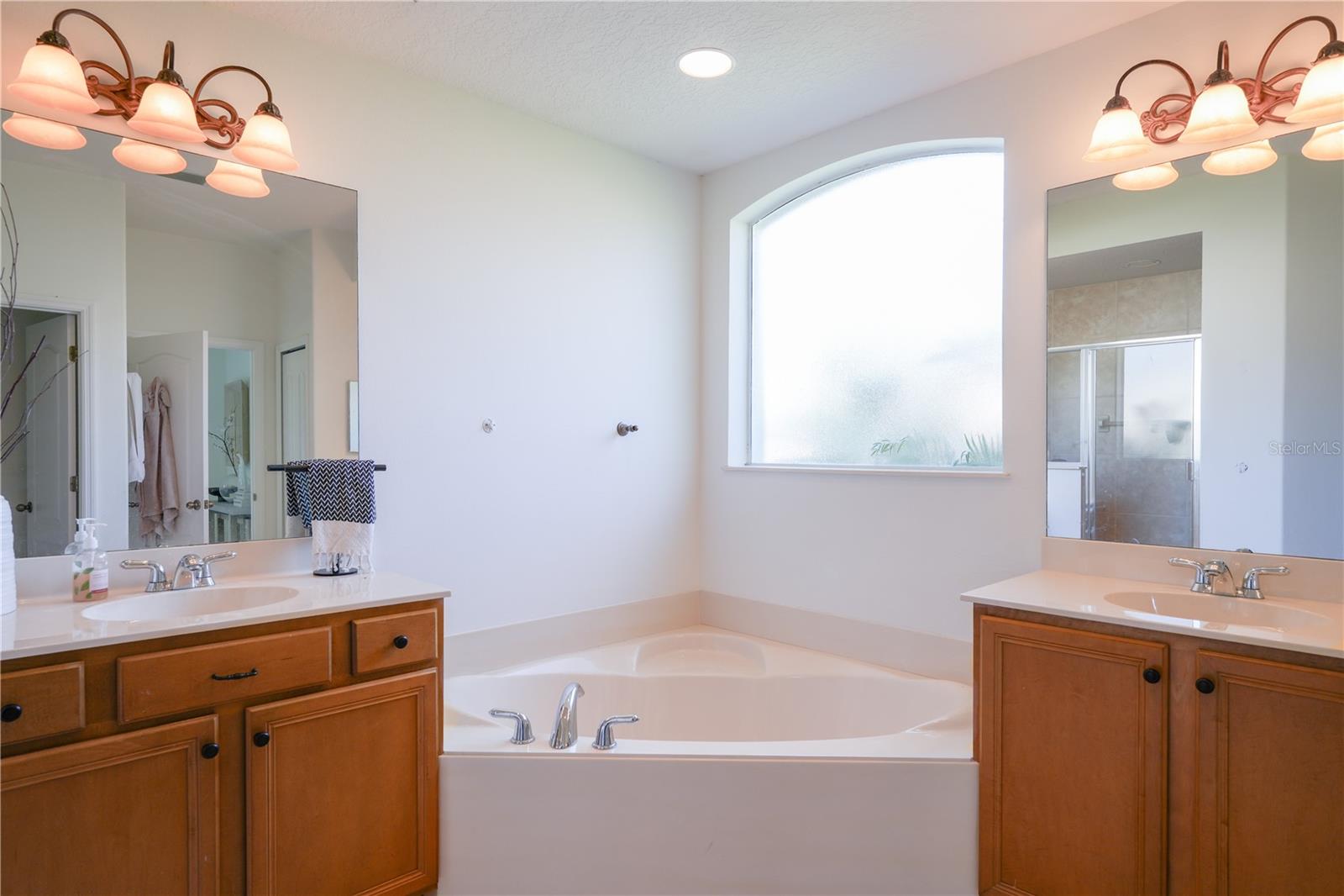 23533 VALDERAMA LN, SORRENTO, FL, 32776