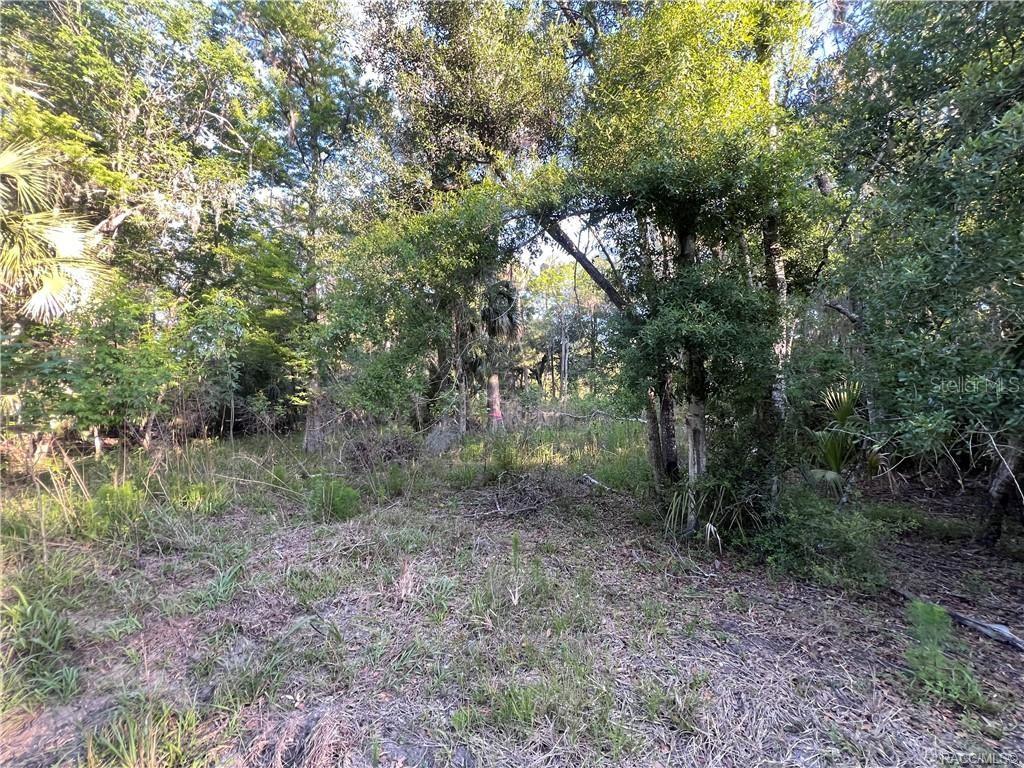 12445 W FOSS GROVES PATH, INGLIS, FL, 34449