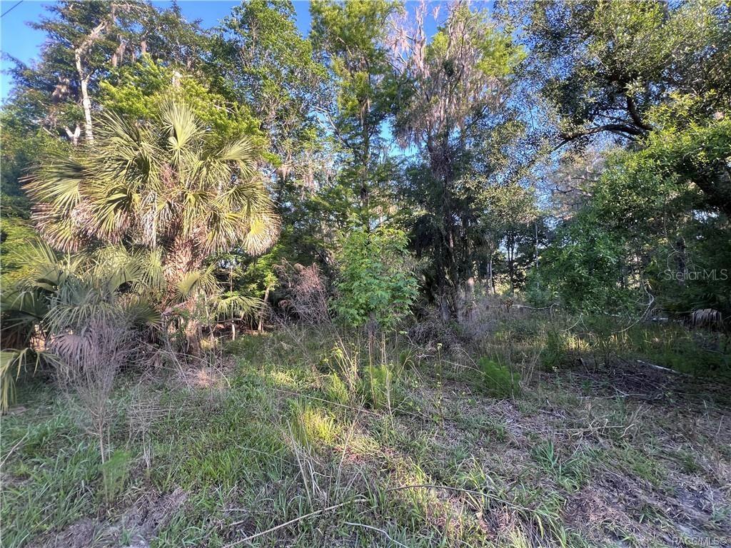 12445 W FOSS GROVES PATH, INGLIS, FL, 34449