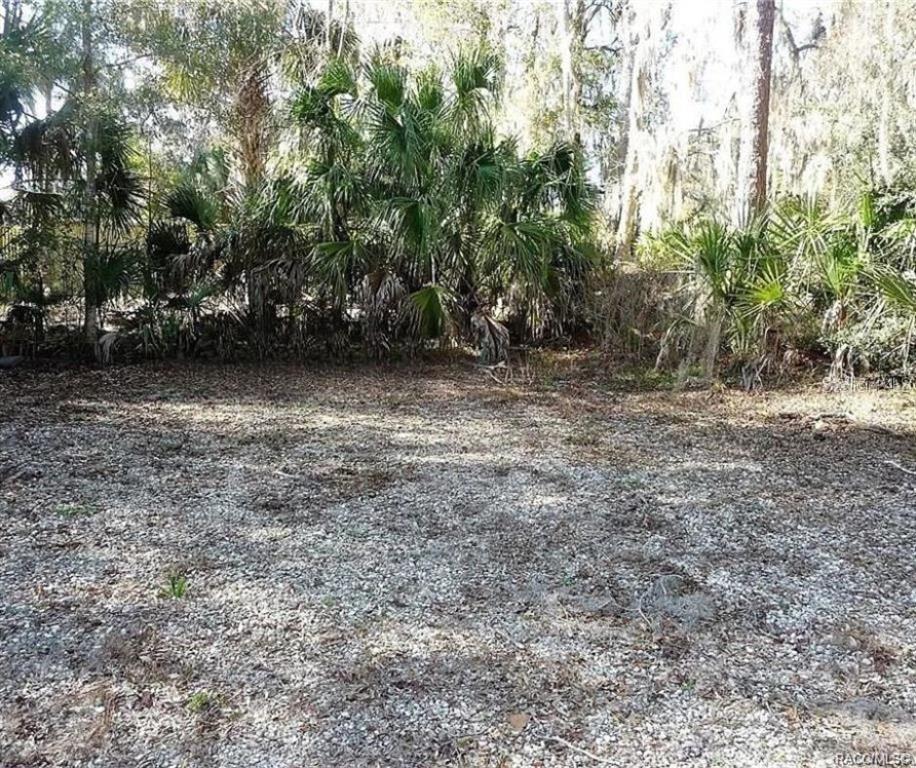 12445 W FOSS GROVES PATH, INGLIS, FL, 34449