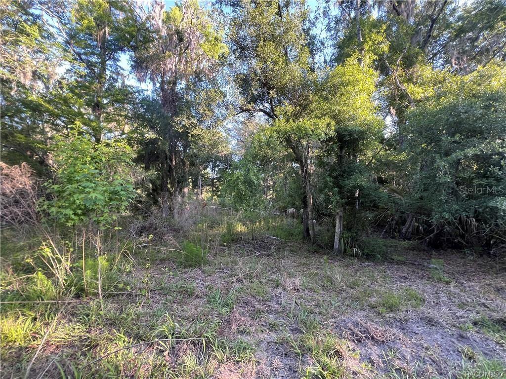 12445 W FOSS GROVES PATH, INGLIS, FL, 34449
