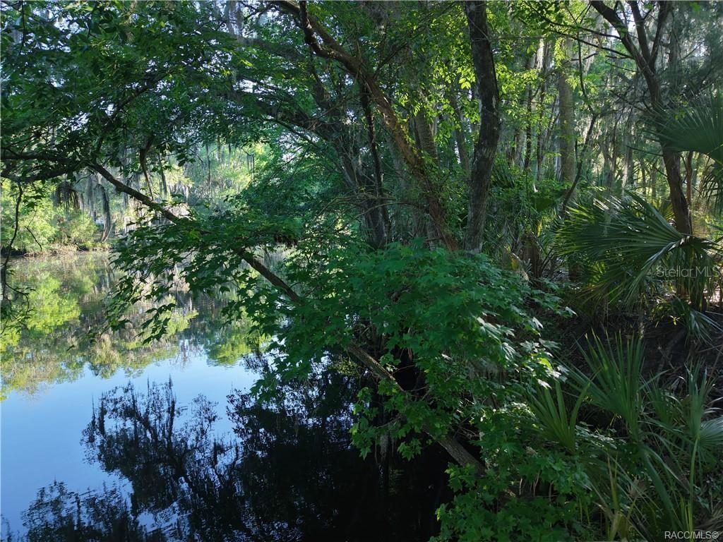 12445 W FOSS GROVES PATH, INGLIS, FL, 34449