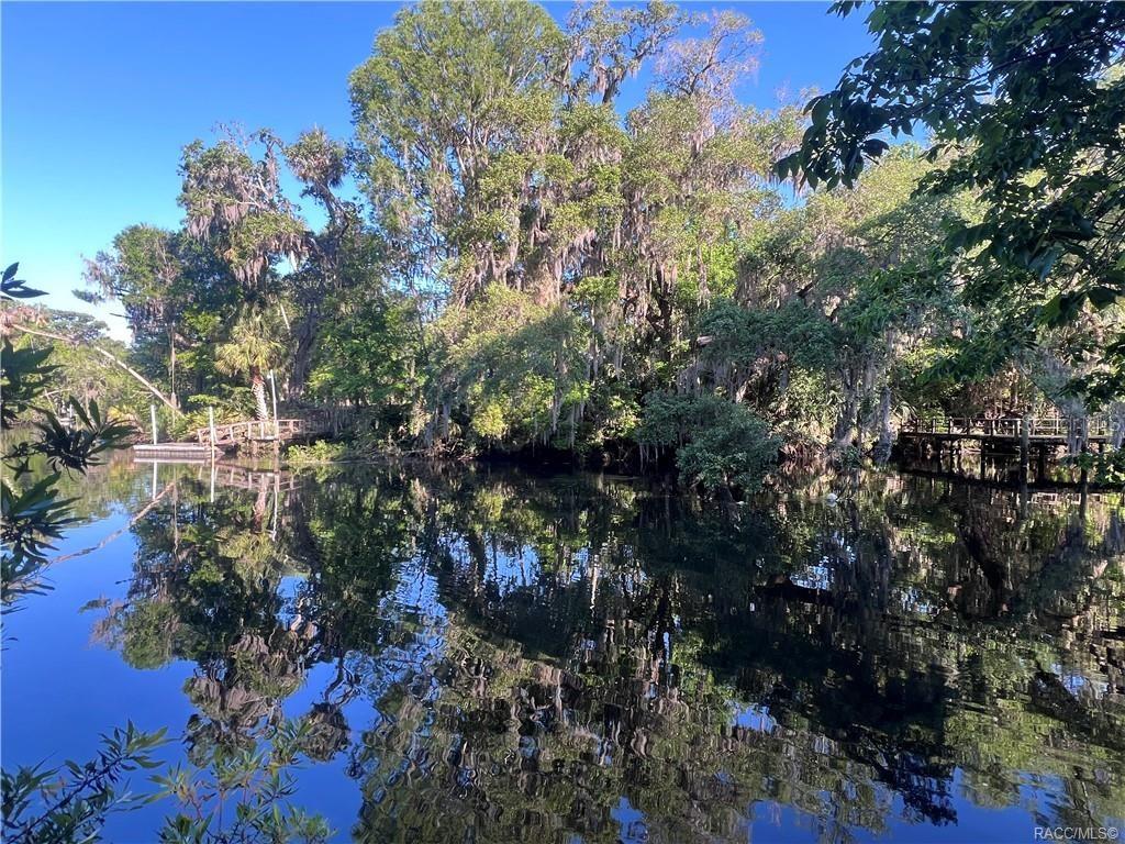 12445 W FOSS GROVES PATH, INGLIS, FL, 34449