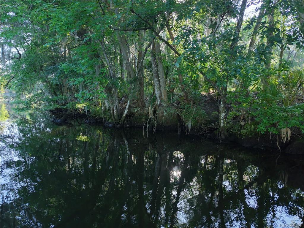12445 W FOSS GROVES PATH, INGLIS, FL, 34449