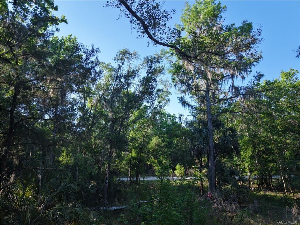 12445 W FOSS GROVES PATH, INGLIS, FL, 34449