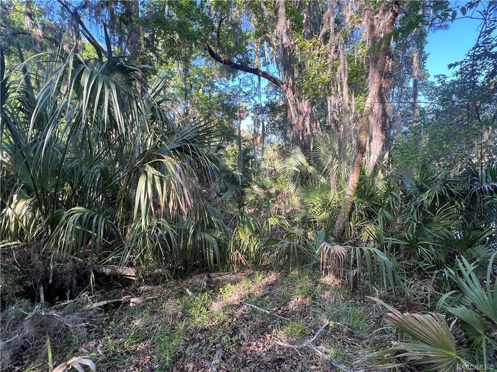 12445 W FOSS GROVES PATH, INGLIS, FL, 34449