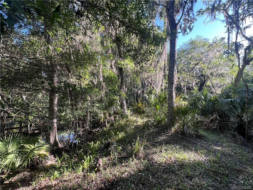 12445 W FOSS GROVES PATH, INGLIS, FL, 34449