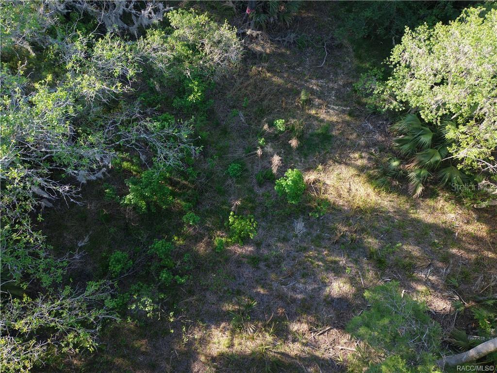12445 W FOSS GROVES PATH, INGLIS, FL, 34449