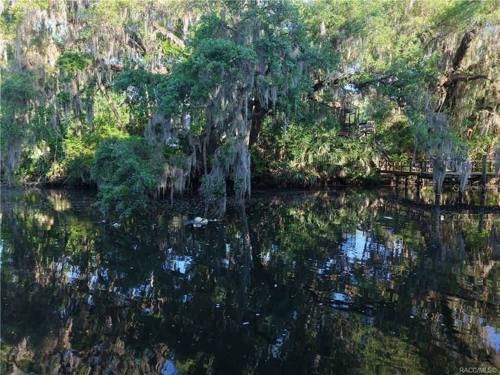 12445 W FOSS GROVES PATH, INGLIS, FL, 34449
