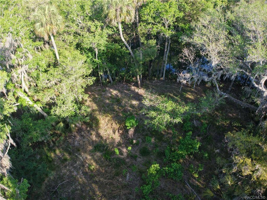 12397 W EDWARDS CT, INGLIS, FL, 34449