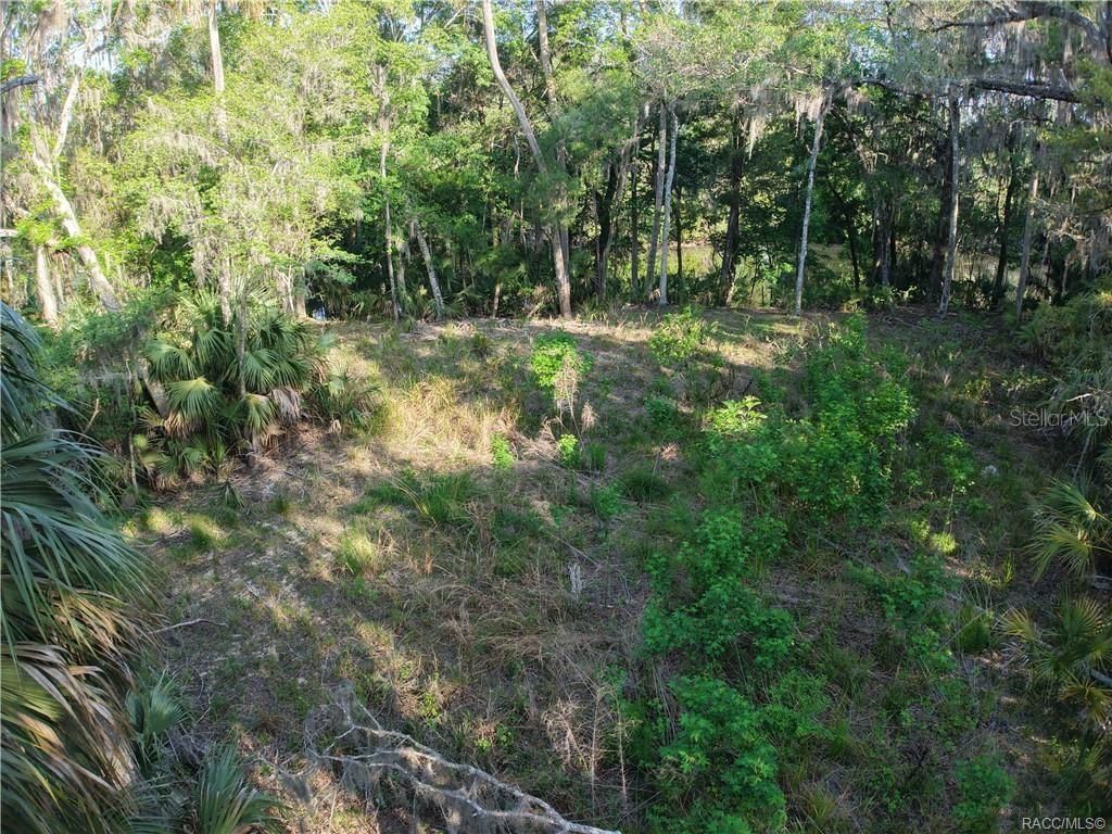 12397 W EDWARDS CT, INGLIS, FL, 34449