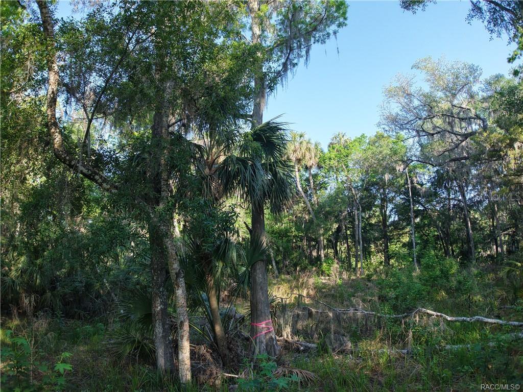 12397 W EDWARDS CT, INGLIS, FL, 34449
