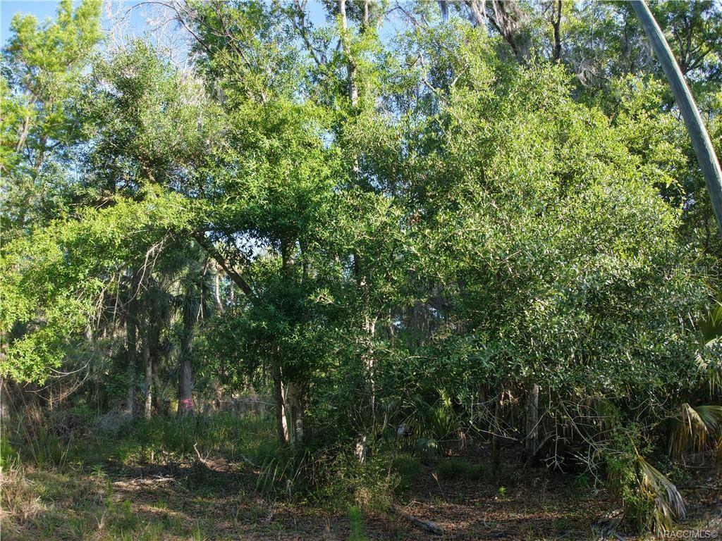 12397 W EDWARDS CT, INGLIS, FL, 34449