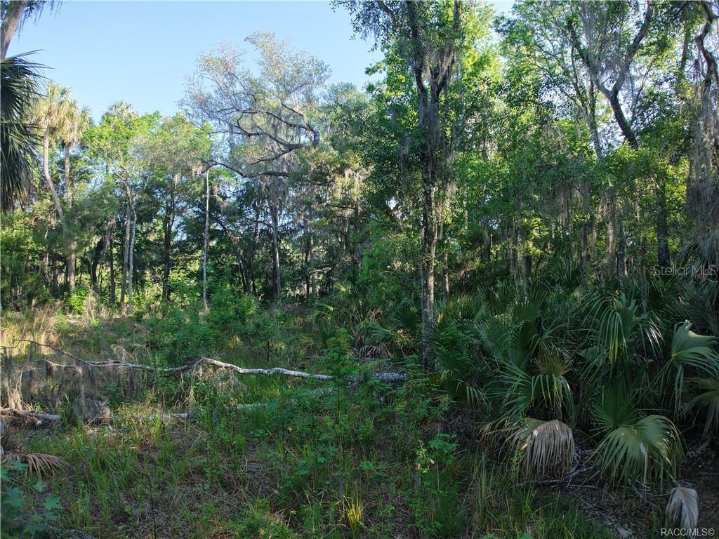 12397 W EDWARDS CT, INGLIS, FL, 34449