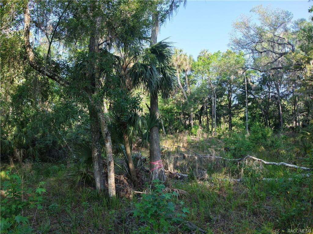 12397 W EDWARDS CT, INGLIS, FL, 34449