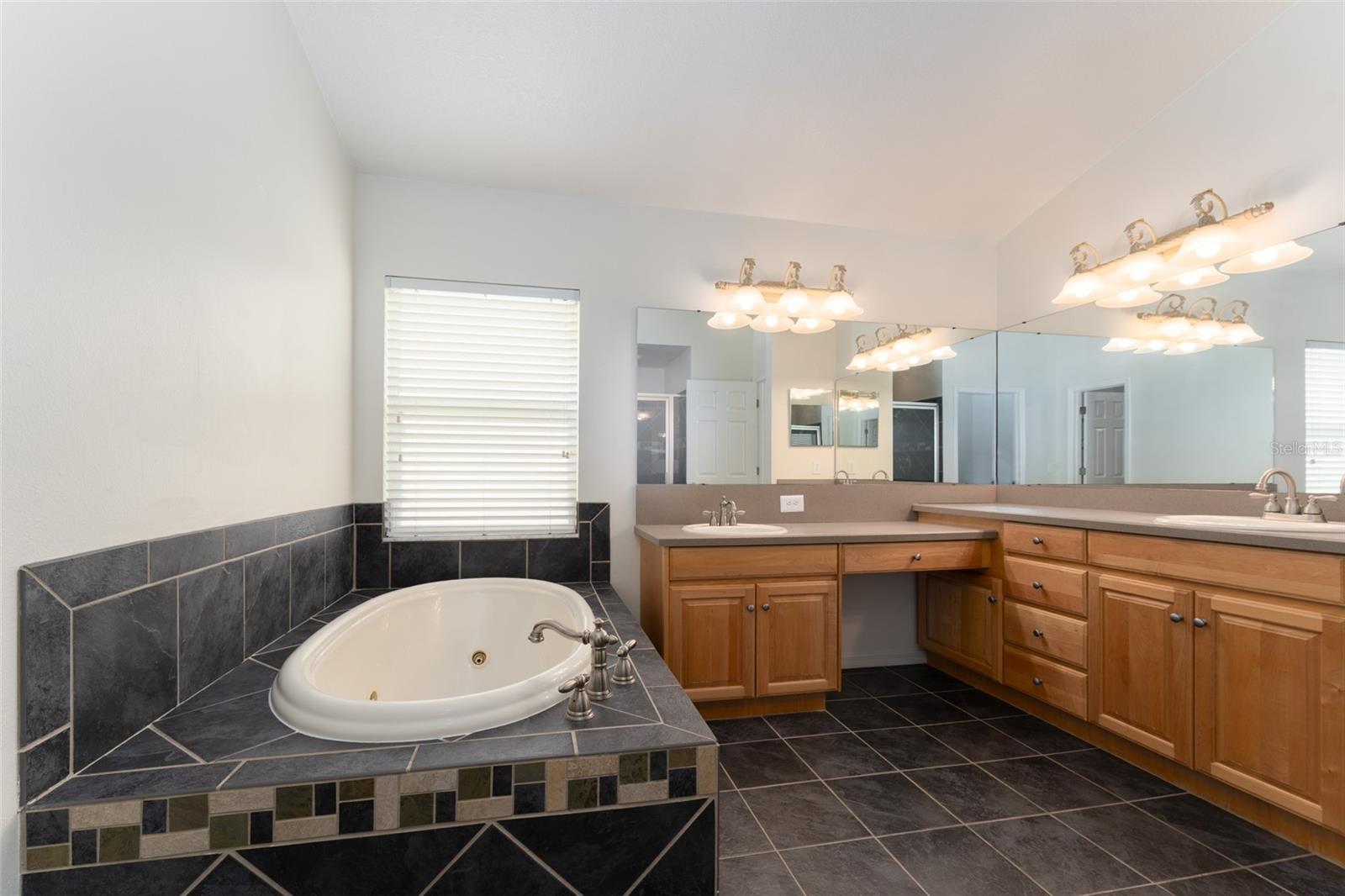 6218 BRIDGEVISTA DR, LITHIA, FL, 33547