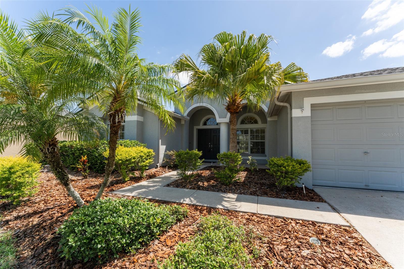 6218 BRIDGEVISTA DR, LITHIA, FL, 33547