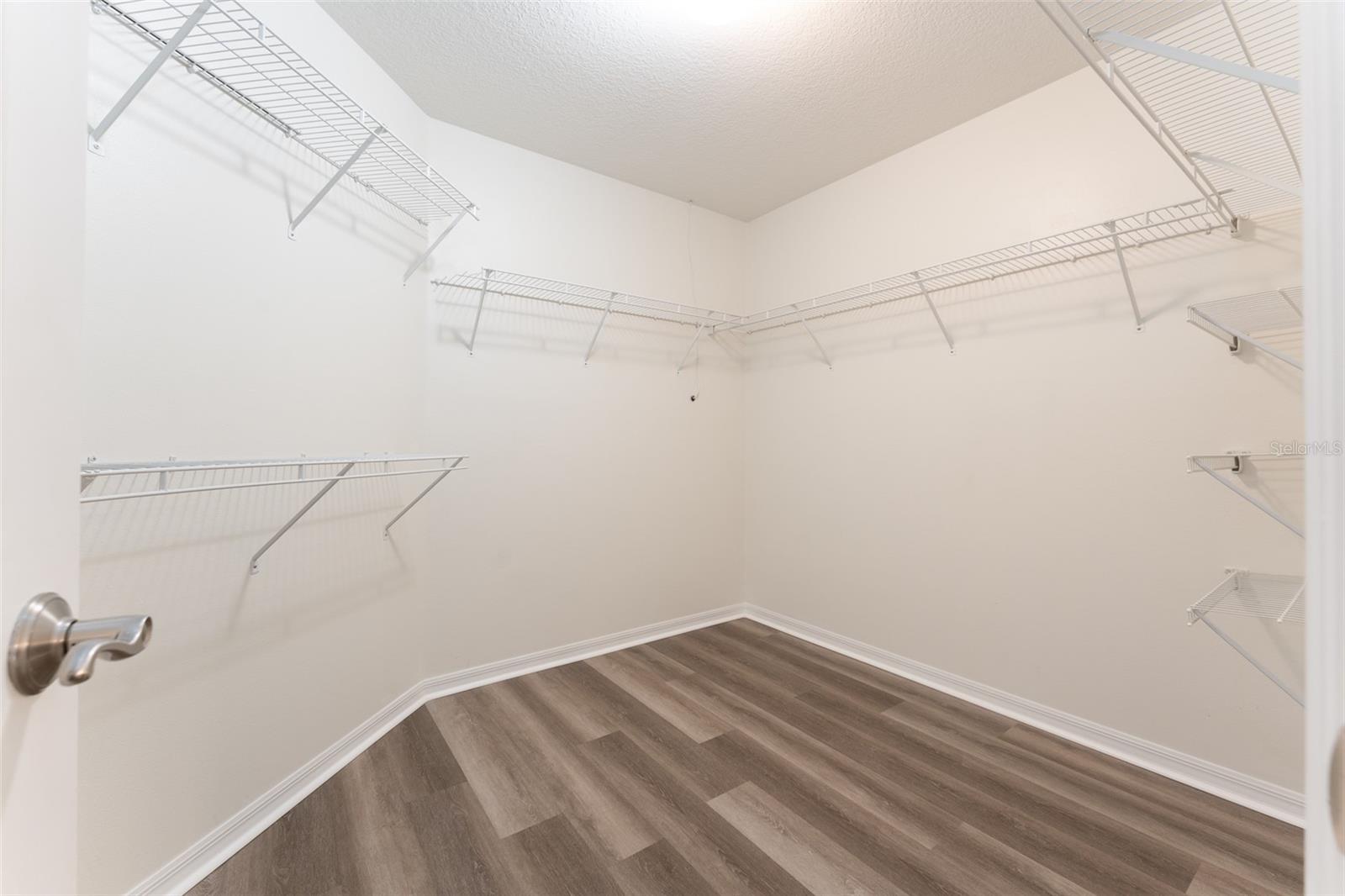 6218 BRIDGEVISTA DR, LITHIA, FL, 33547