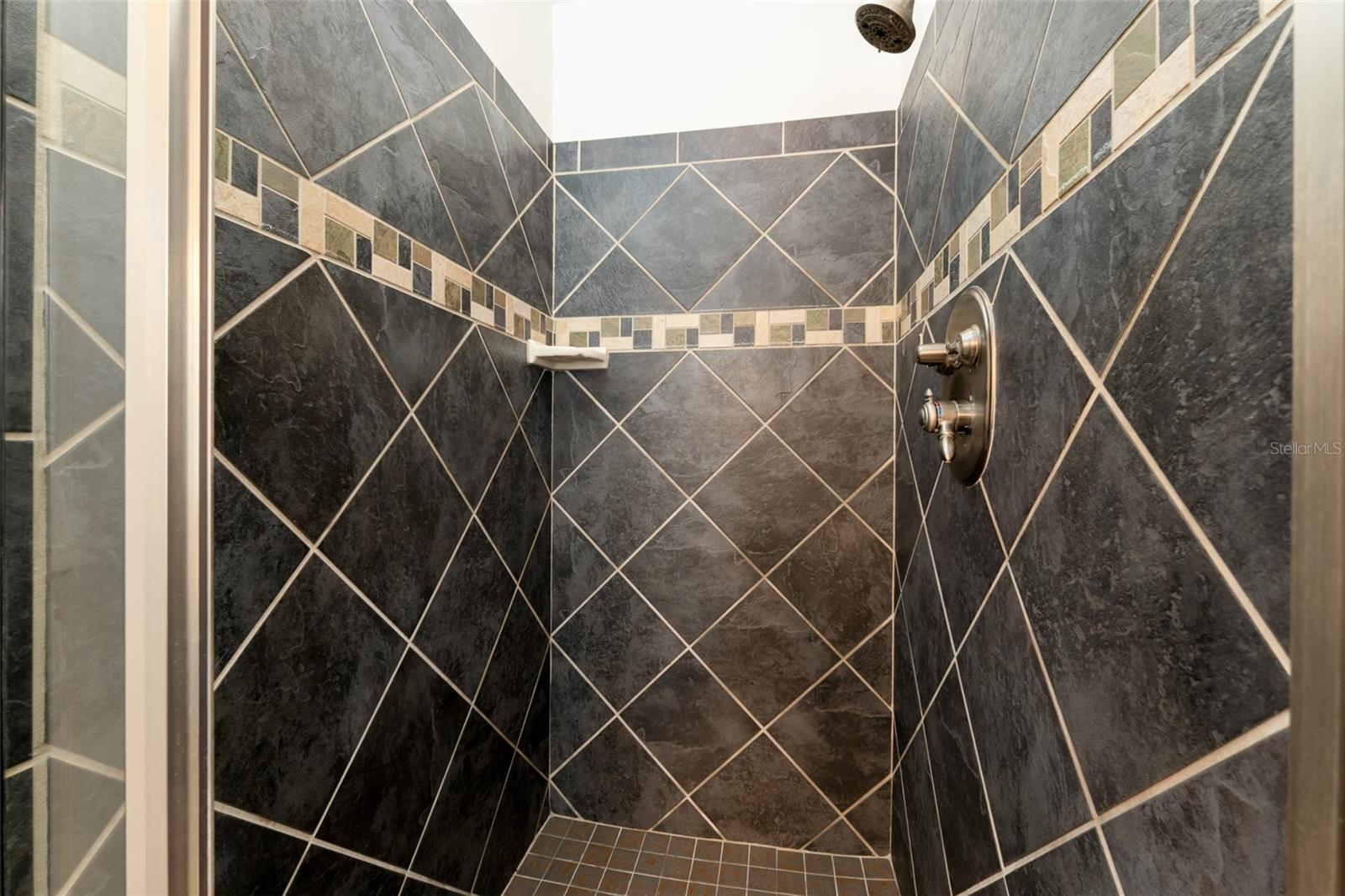 6218 BRIDGEVISTA DR, LITHIA, FL, 33547