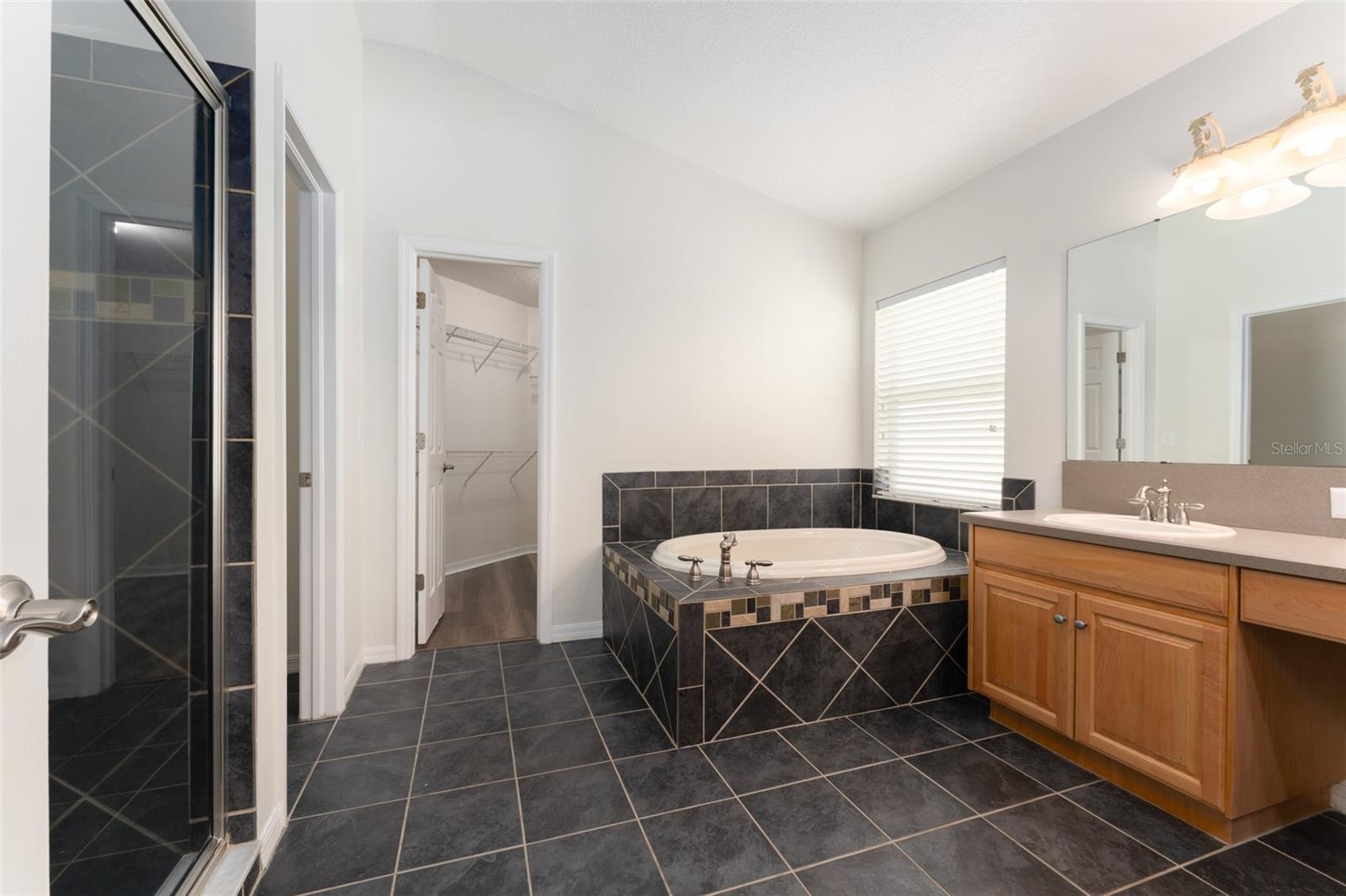 6218 BRIDGEVISTA DR, LITHIA, FL, 33547