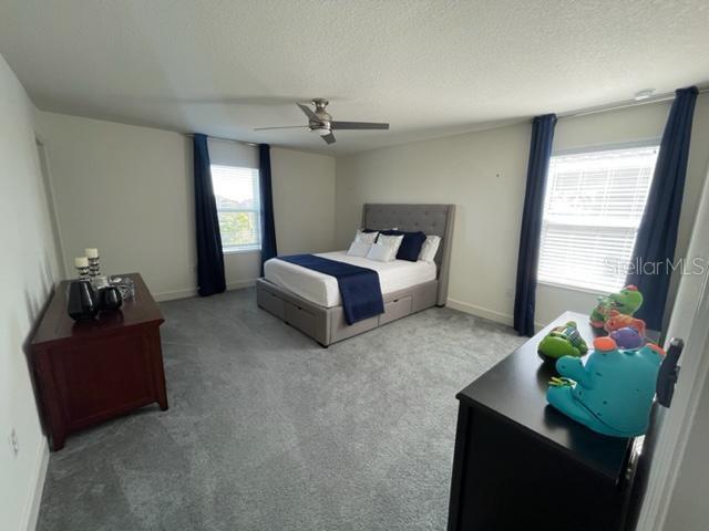 14005 PEACH ORCHARD WAY, WINTER GARDEN, FL, 34787