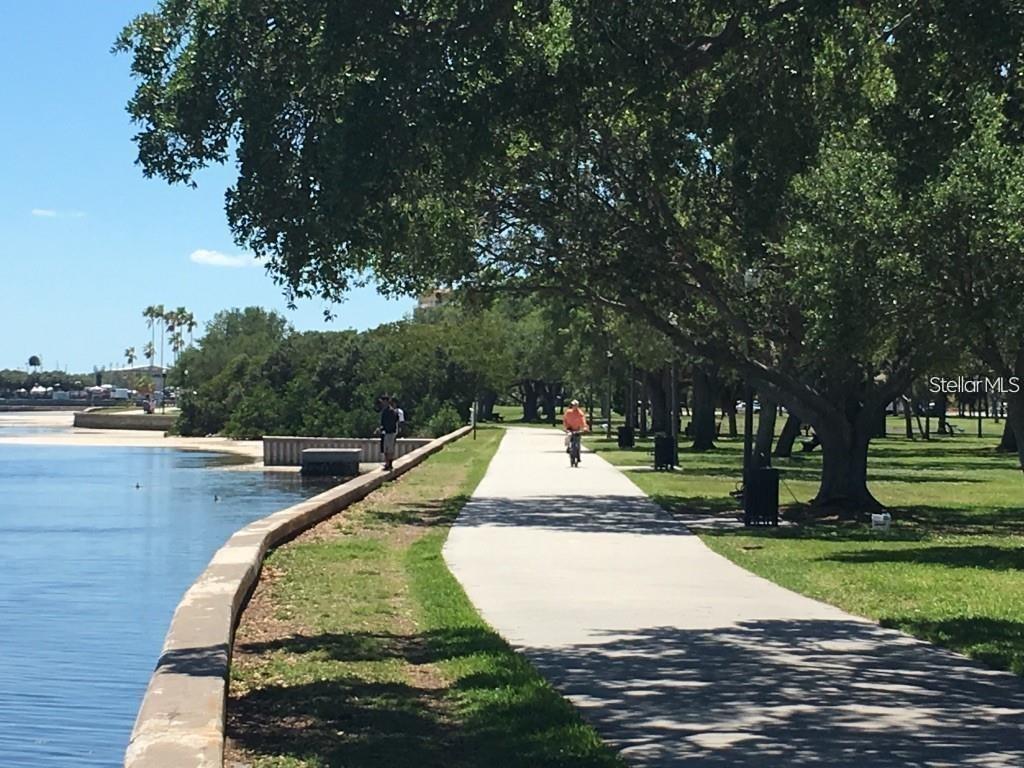 135 RICARDO WAY NE #1, ST PETERSBURG, FL, 33704