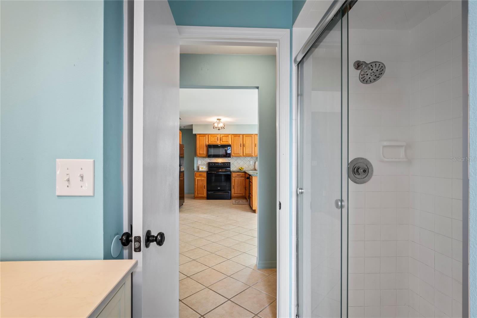 3353 MONTANO AVE, SPRING HILL, FL, 34609