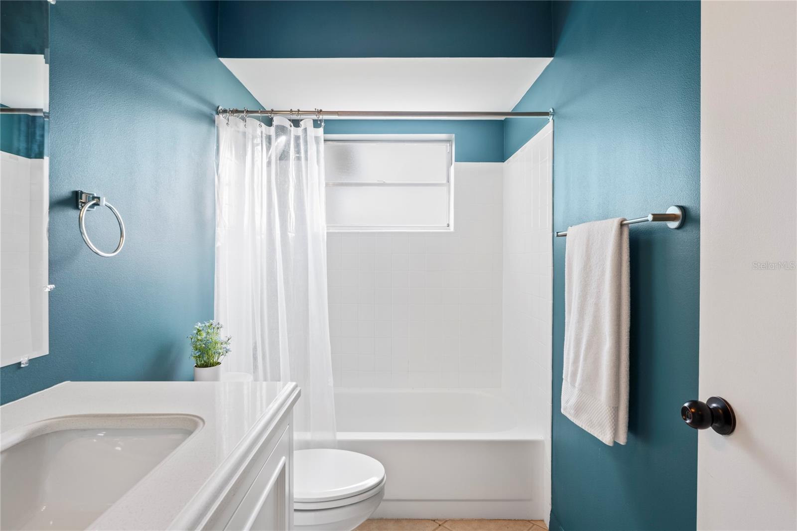 3353 MONTANO AVE, SPRING HILL, FL, 34609