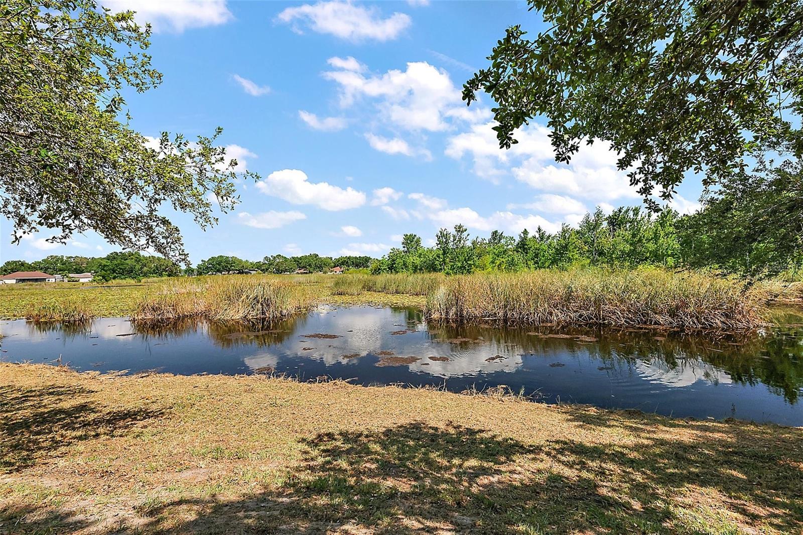 529 ED DOUGLAS RD, GROVELAND, FL, 34736