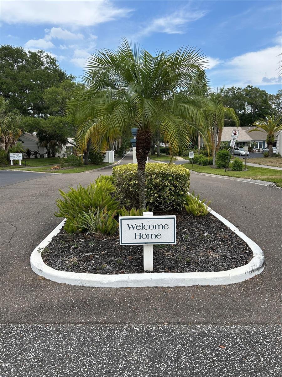 1138 DOVER CT, SAFETY HARBOR, FL, 34695