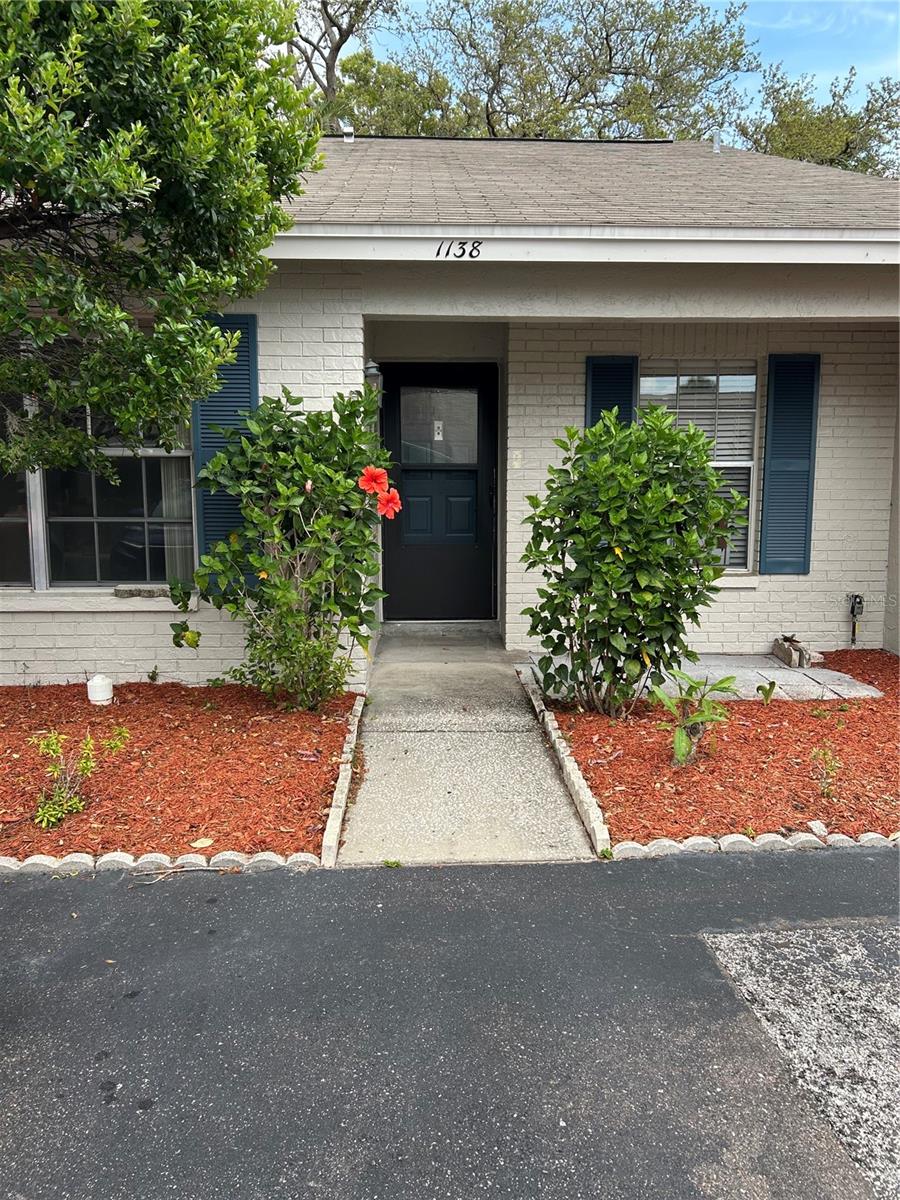 1138 DOVER CT, SAFETY HARBOR, FL, 34695