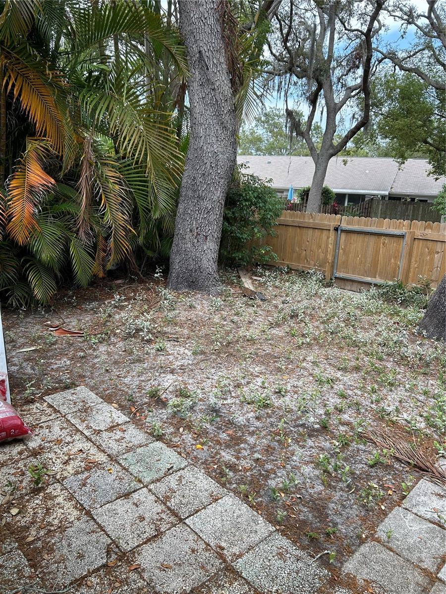 1138 DOVER CT, SAFETY HARBOR, FL, 34695