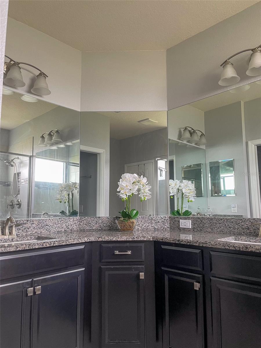 4754 WANDERING WAY, WESLEY CHAPEL, FL, 33544