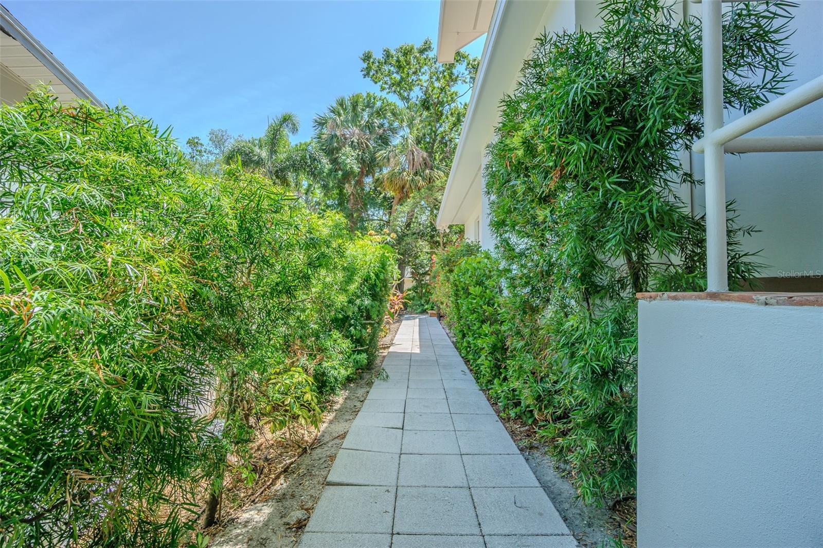 2114 S VENUS ST, TAMPA, FL, 33629