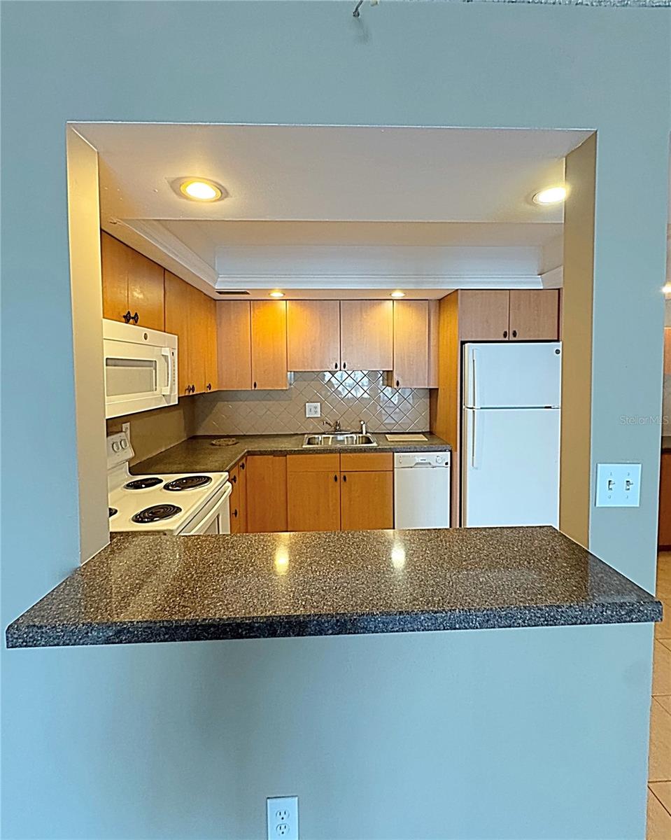 851 BAYWAY BLVD #806, CLEARWATER BEACH, FL, 33767