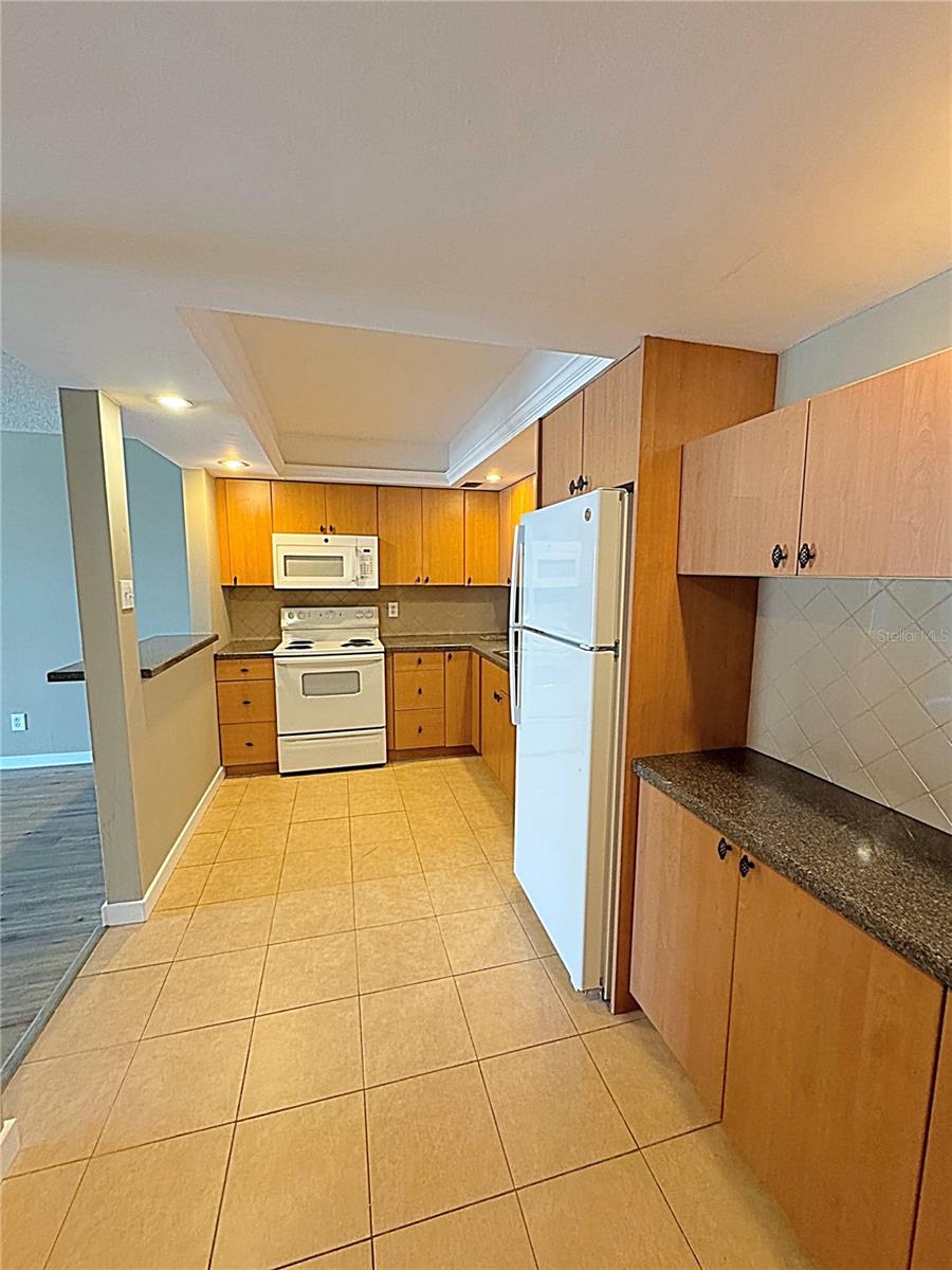 851 BAYWAY BLVD #806, CLEARWATER BEACH, FL, 33767