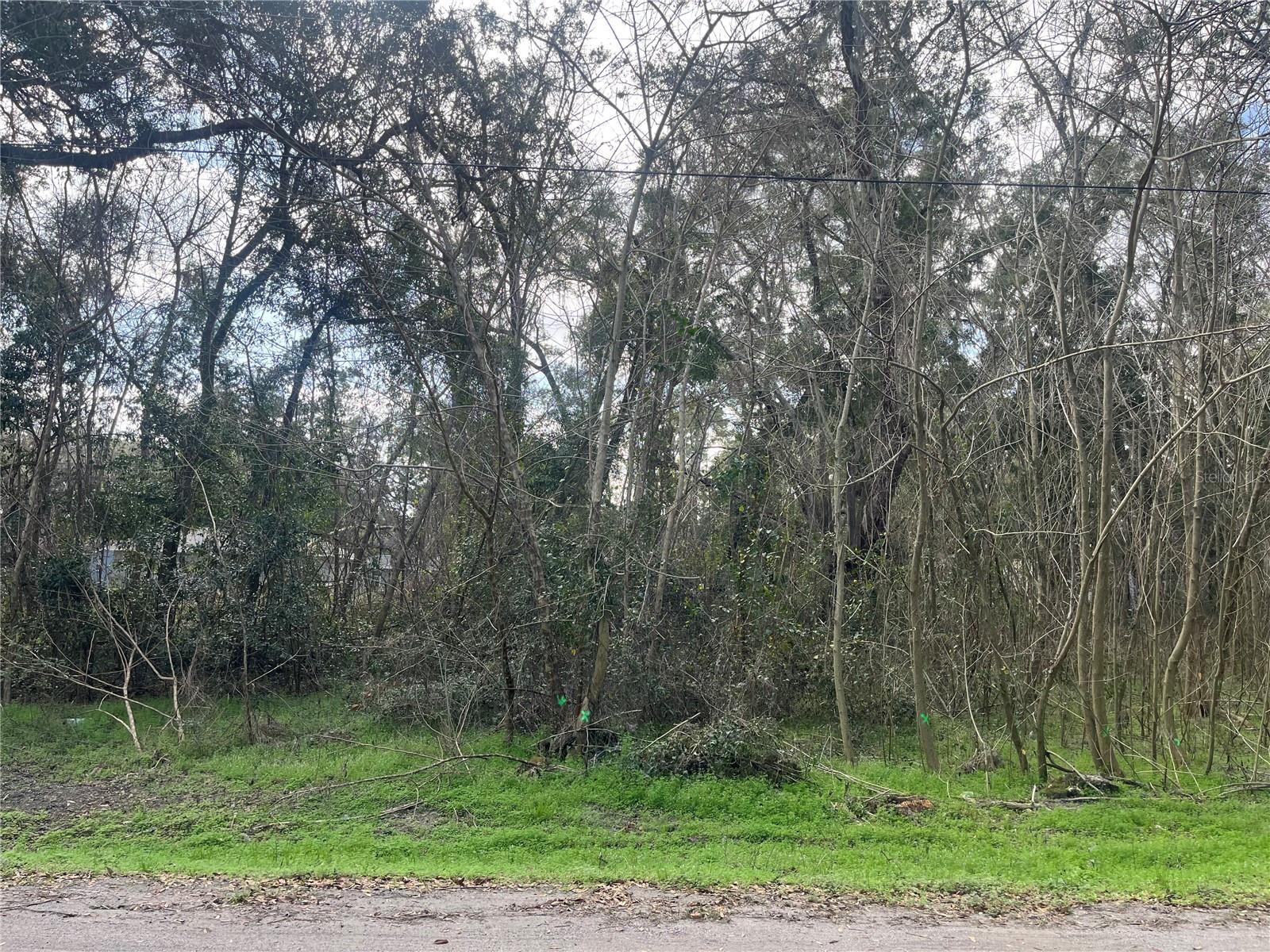 NW 65TH PL, OCALA, FL, 34482