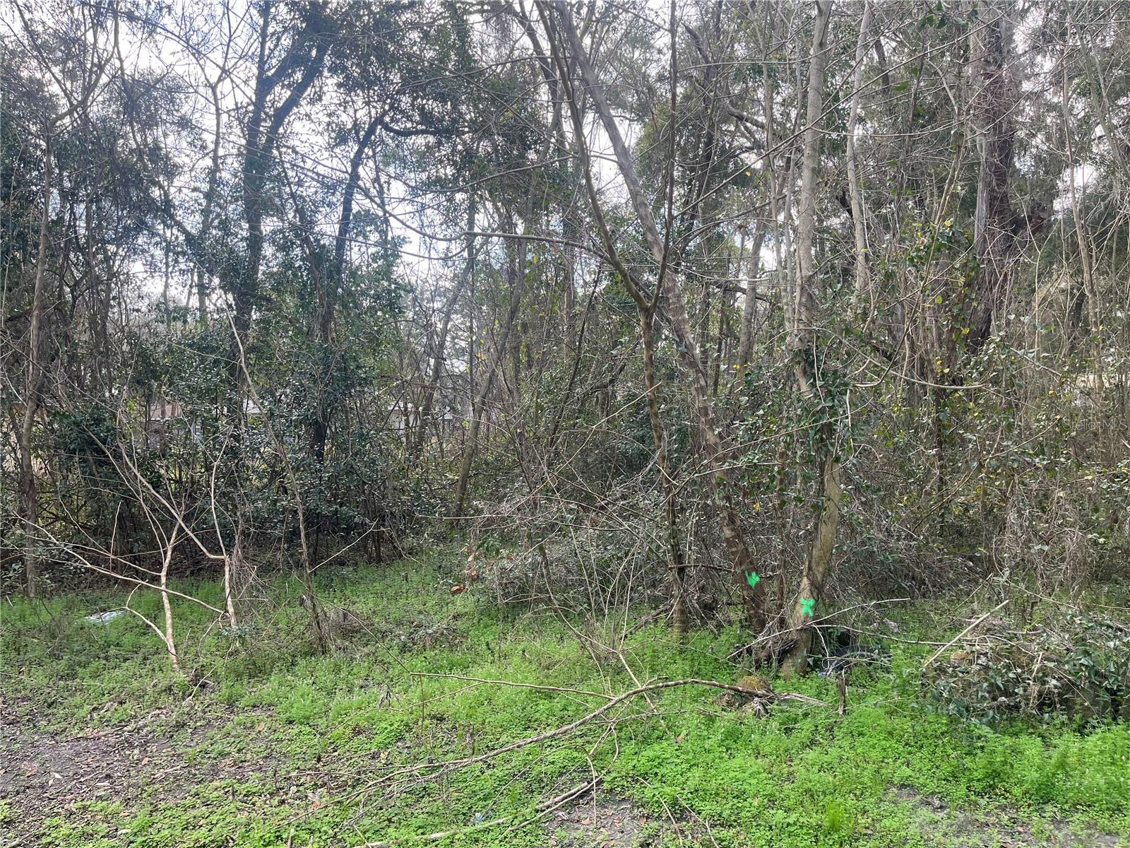 NW 65TH PL, OCALA, FL, 34482