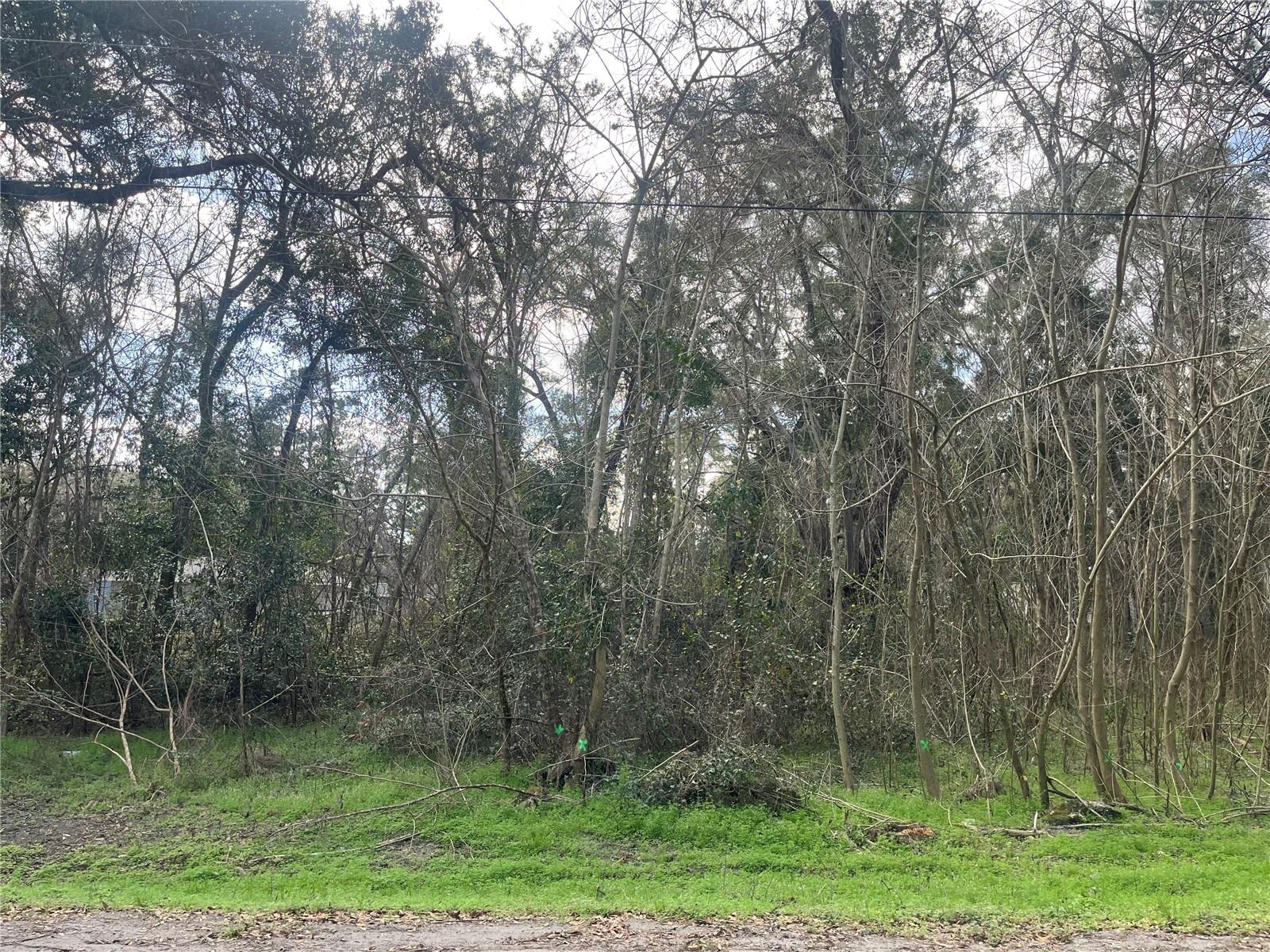 NW 65TH PL, OCALA, FL, 34482