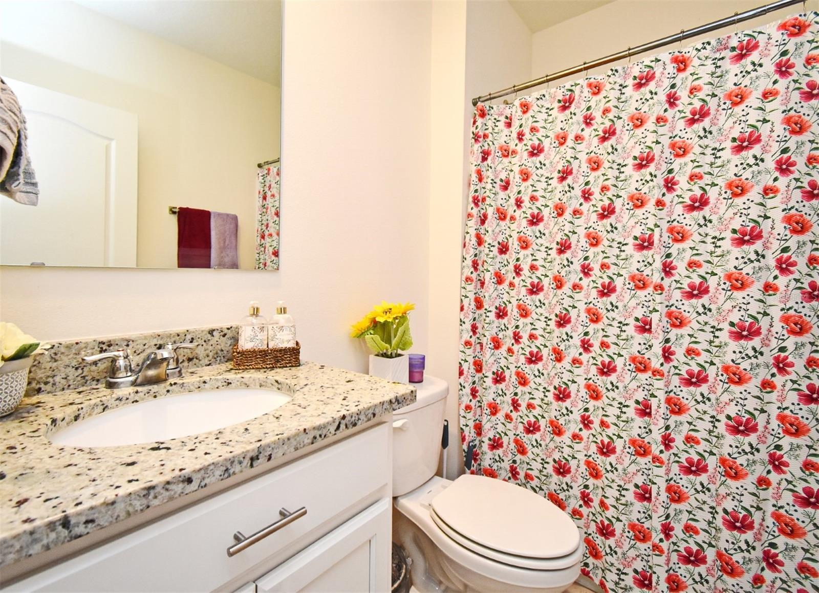 2524 HARMONIA HAMMOCK RD, HARMONY, FL, 34773