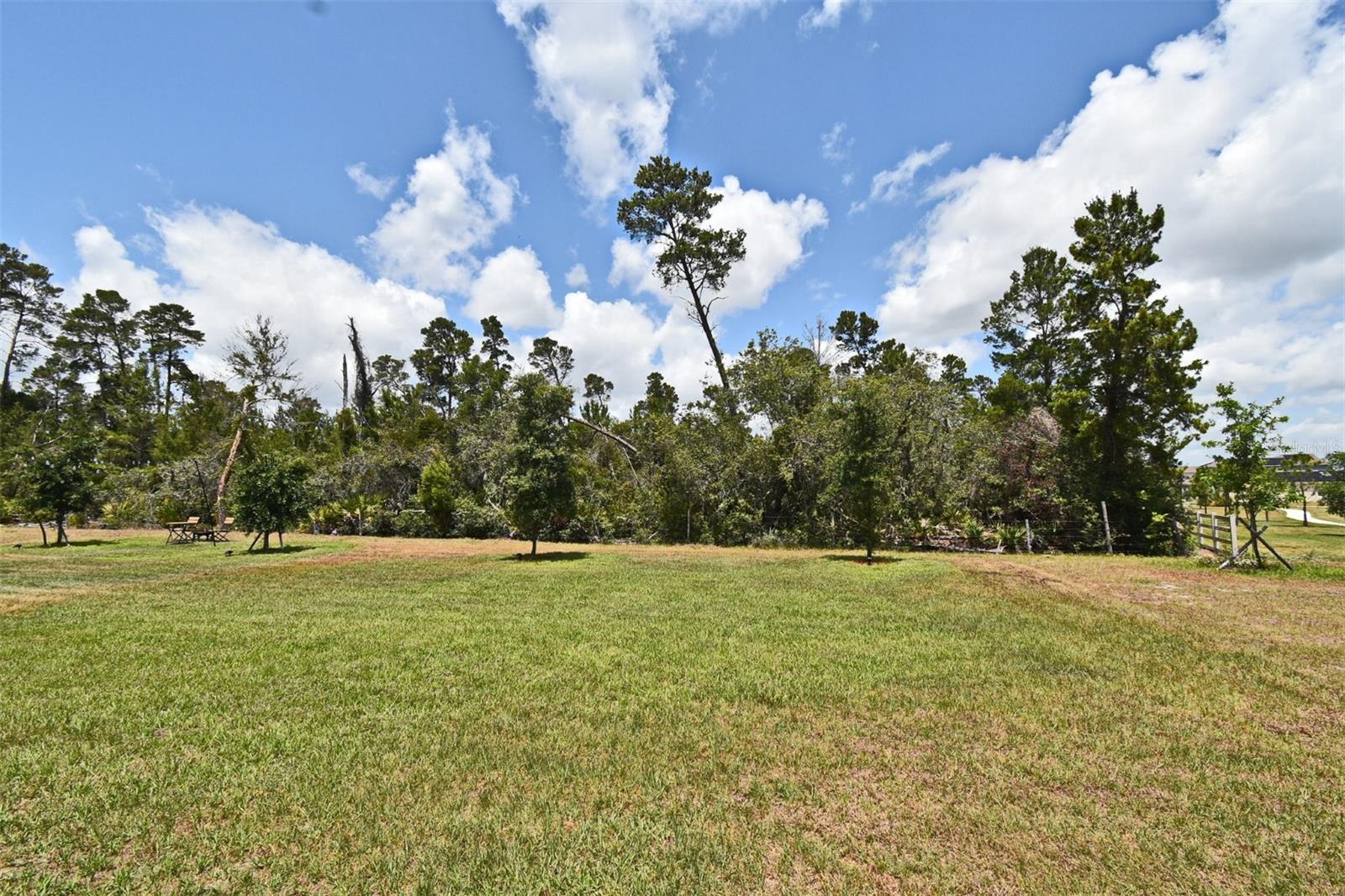 2524 HARMONIA HAMMOCK RD, HARMONY, FL, 34773
