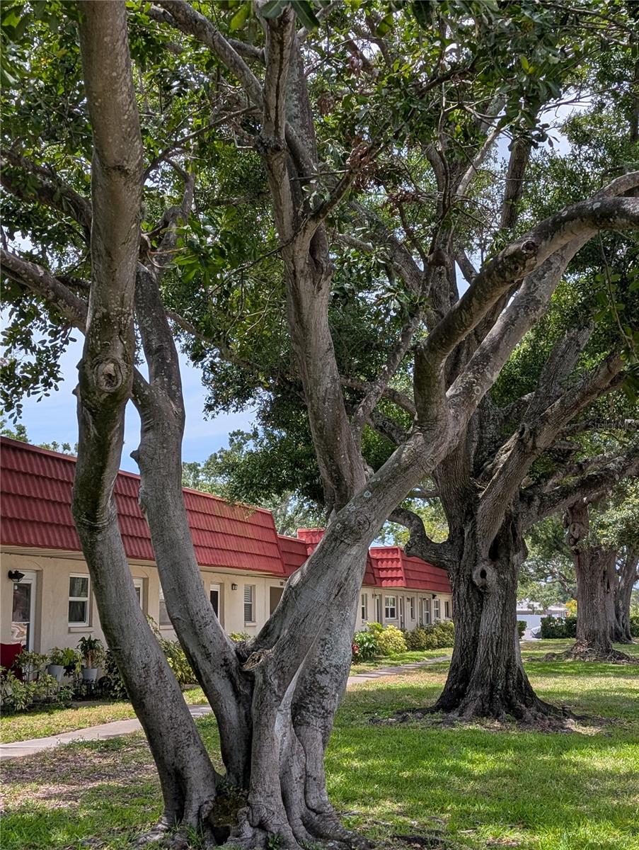 5870 38TH AVE N #40, ST PETERSBURG, FL, 33710