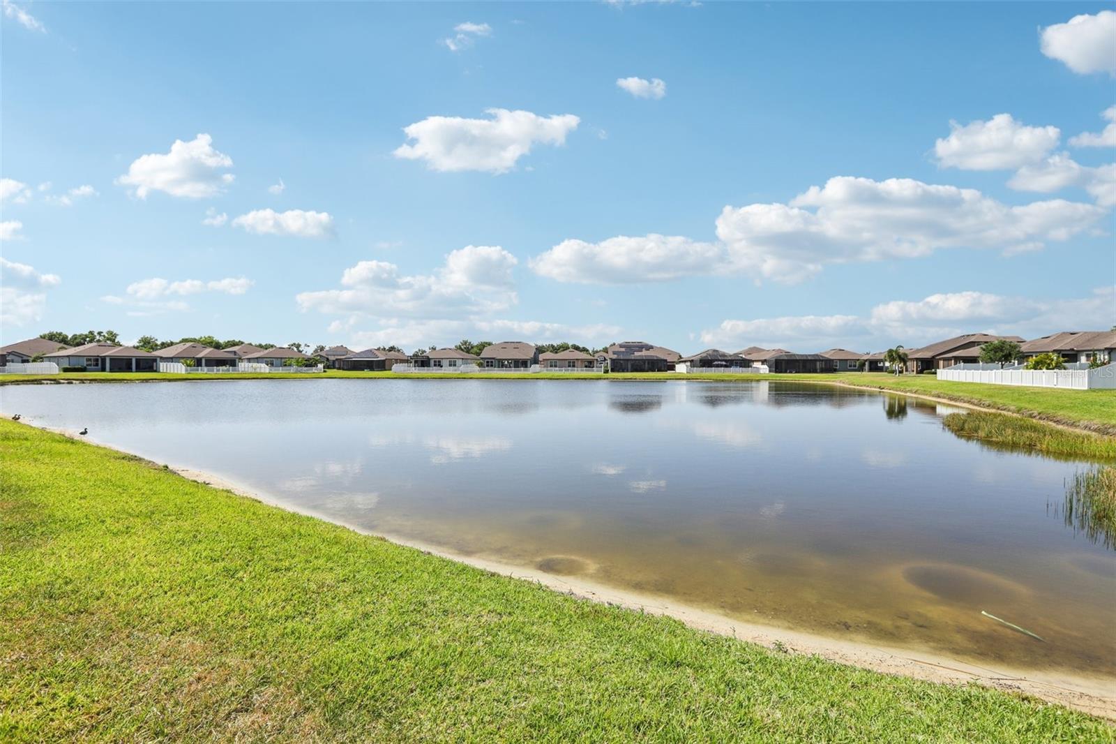 11688 BRIGHTON KNOLL LOOP, RIVERVIEW, FL, 33579