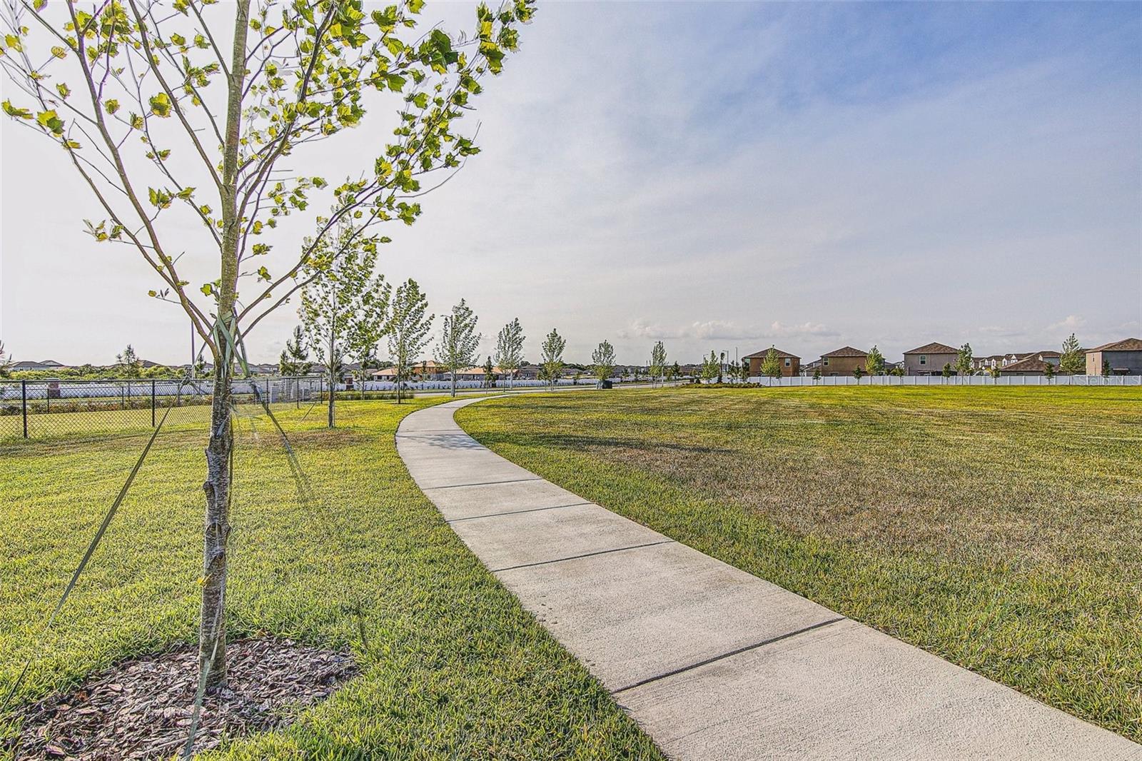 11688 BRIGHTON KNOLL LOOP, RIVERVIEW, FL, 33579