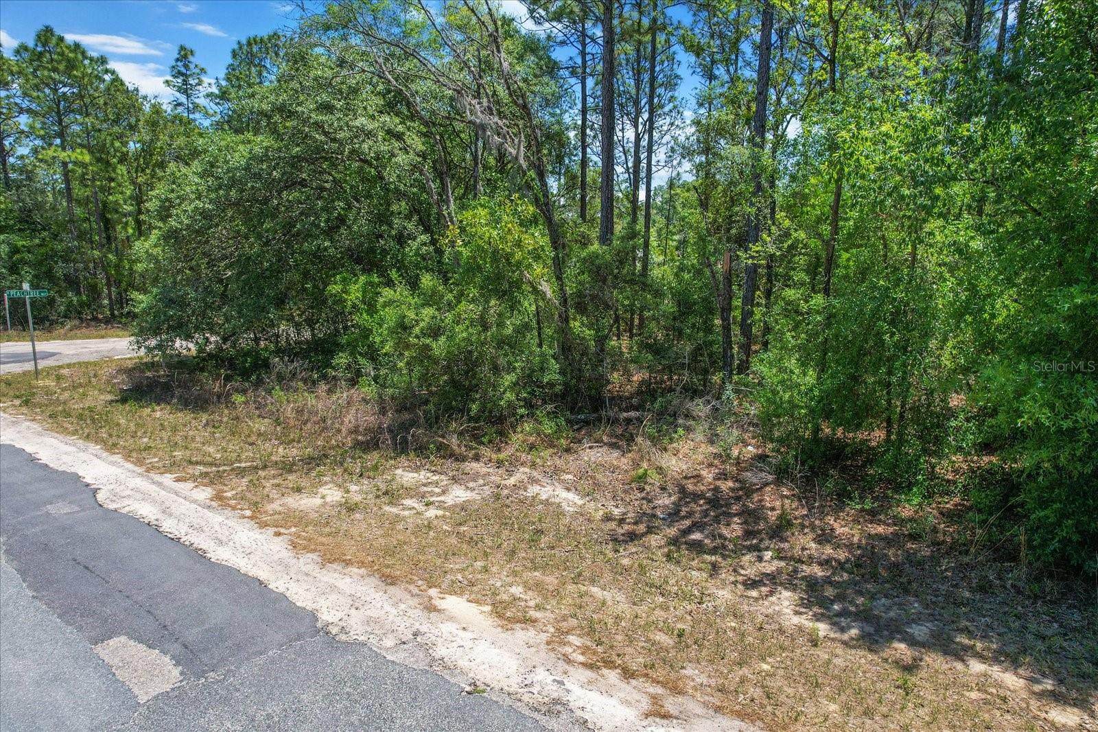 9410 N PEACHTREE WAY, CITRUS SPRINGS, FL, 34434