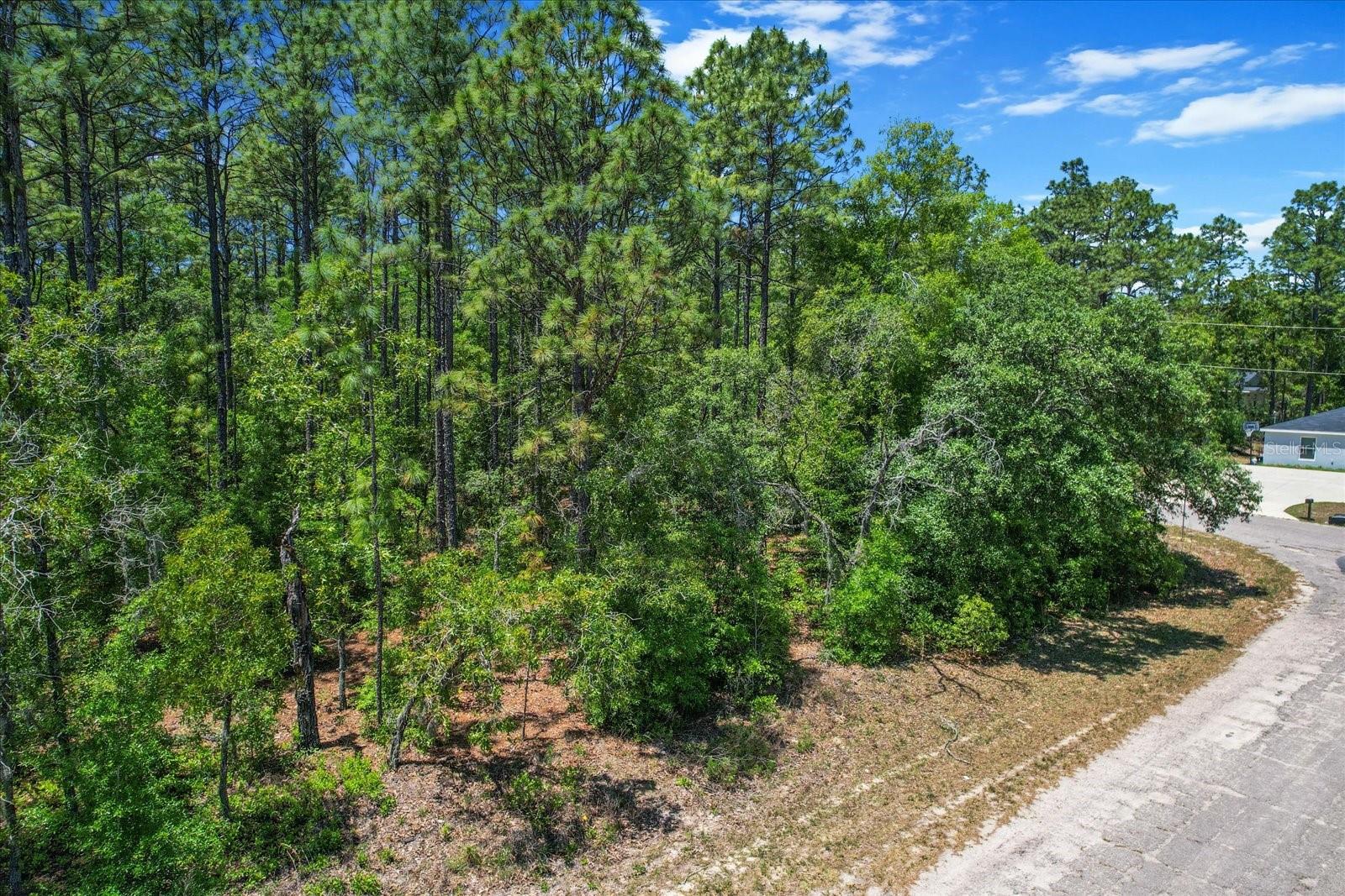 9410 N PEACHTREE WAY, CITRUS SPRINGS, FL, 34434