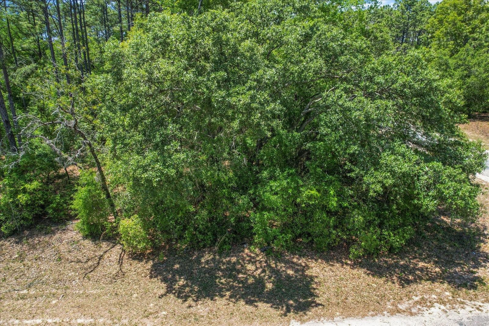 9410 N PEACHTREE WAY, CITRUS SPRINGS, FL, 34434